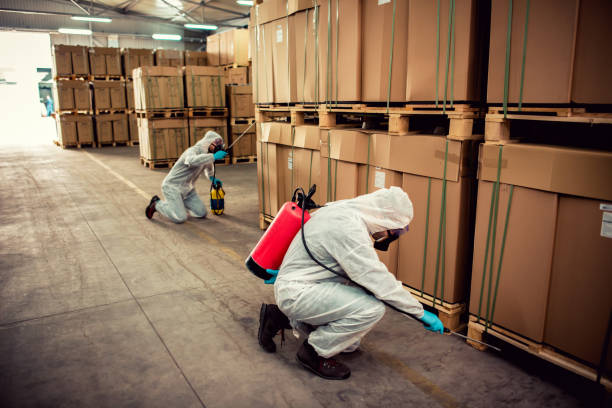 Best Exterminator Services  in Newport, VT