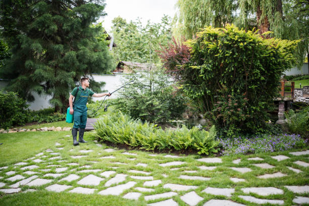 Best Ant Control Services  in Newport, VT