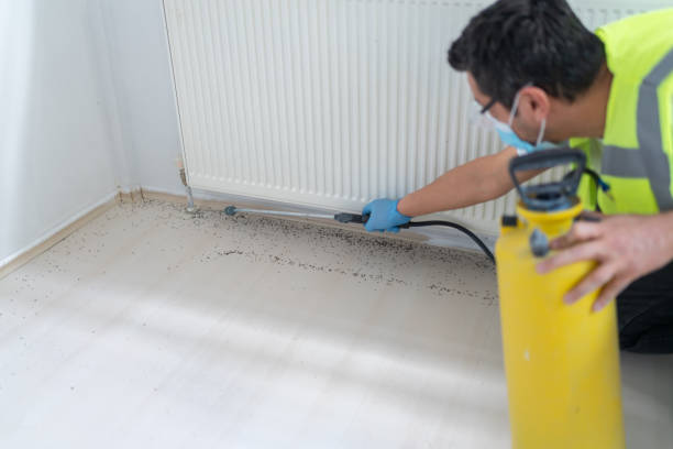 Best Best Pest Control Companies  in Newport, VT