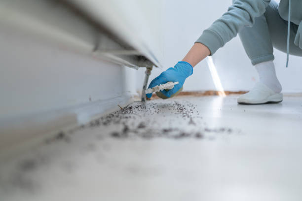 Best Residential Pest Control  in Newport, VT